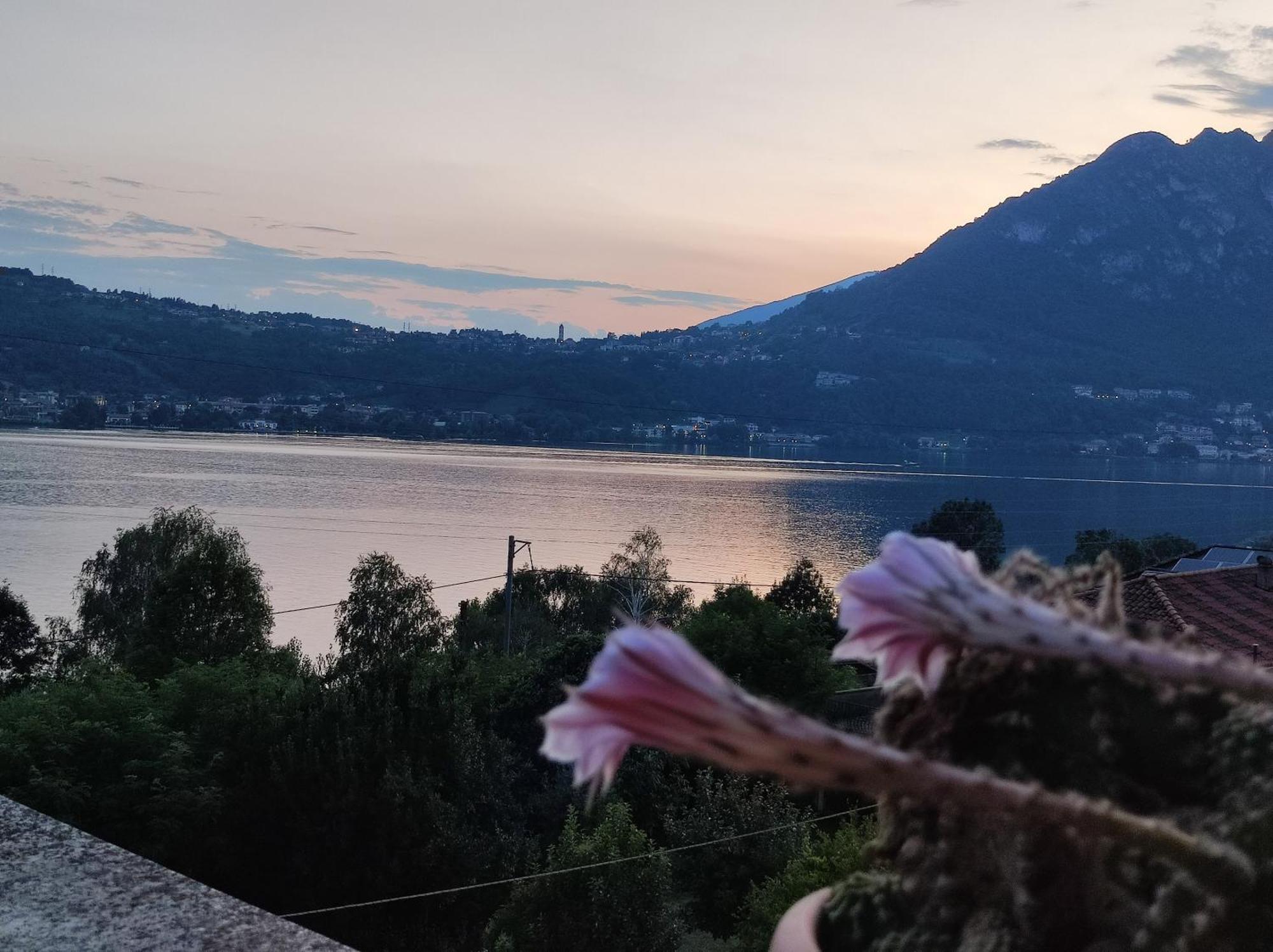 Terrazzo Sul Lago Леко Екстериор снимка