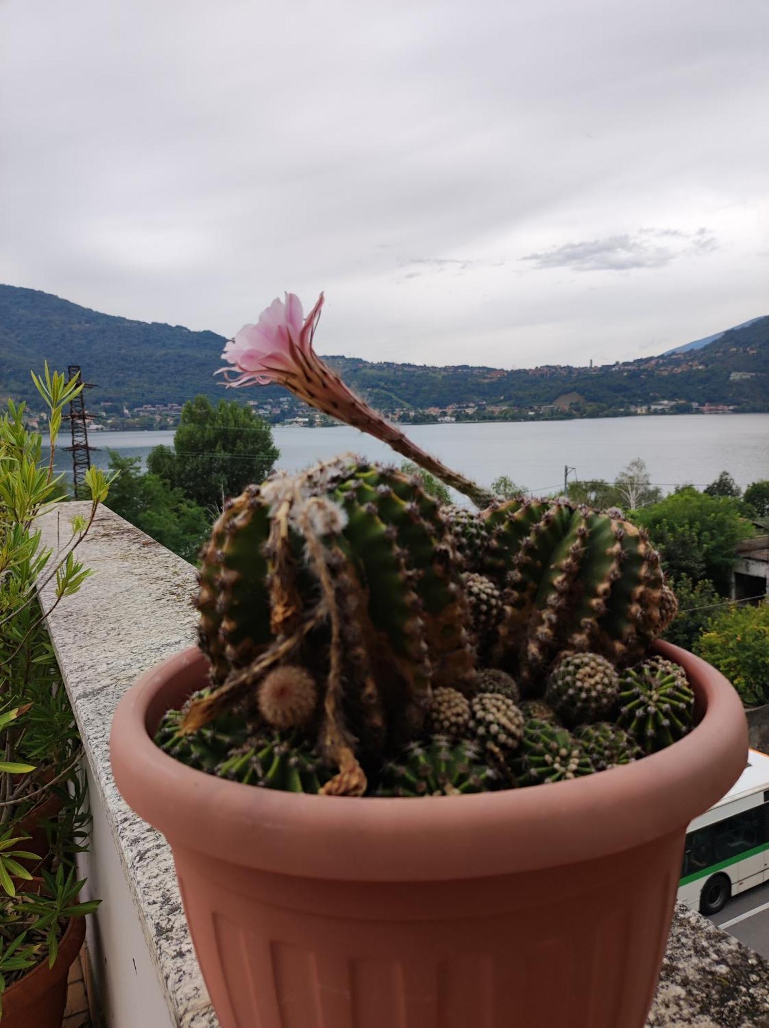 Terrazzo Sul Lago Леко Екстериор снимка